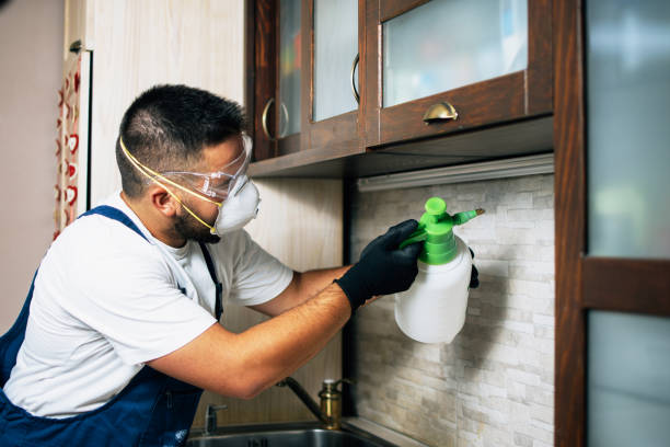 Best Pest Removal Services  in Harrison, WI