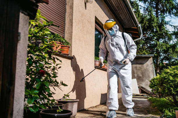 Best Pest Inspection Near Me  in Harrison, WI