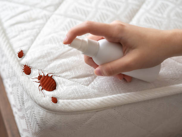 Best Ant Control Services  in Harrison, WI
