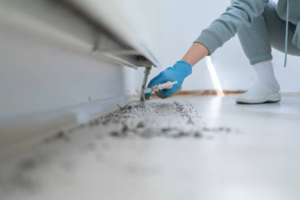 Best Exterminator Services  in Harrison, WI